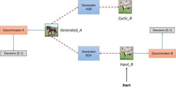 CycleGAN_structure_B